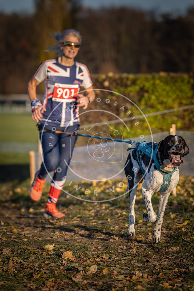 CaniXpix_DV3A4625 | Hundefotografie, Tierfotograf, Pfotenfotografie, Fotoshooting Hund, Hunde Portrait, Hundesport, Hundeportraits, Heideshooting, Hunde, Sportfotograf, Hundefotograf, Turnierhundsport, THS,  - Realisiert mit Pictrs.com