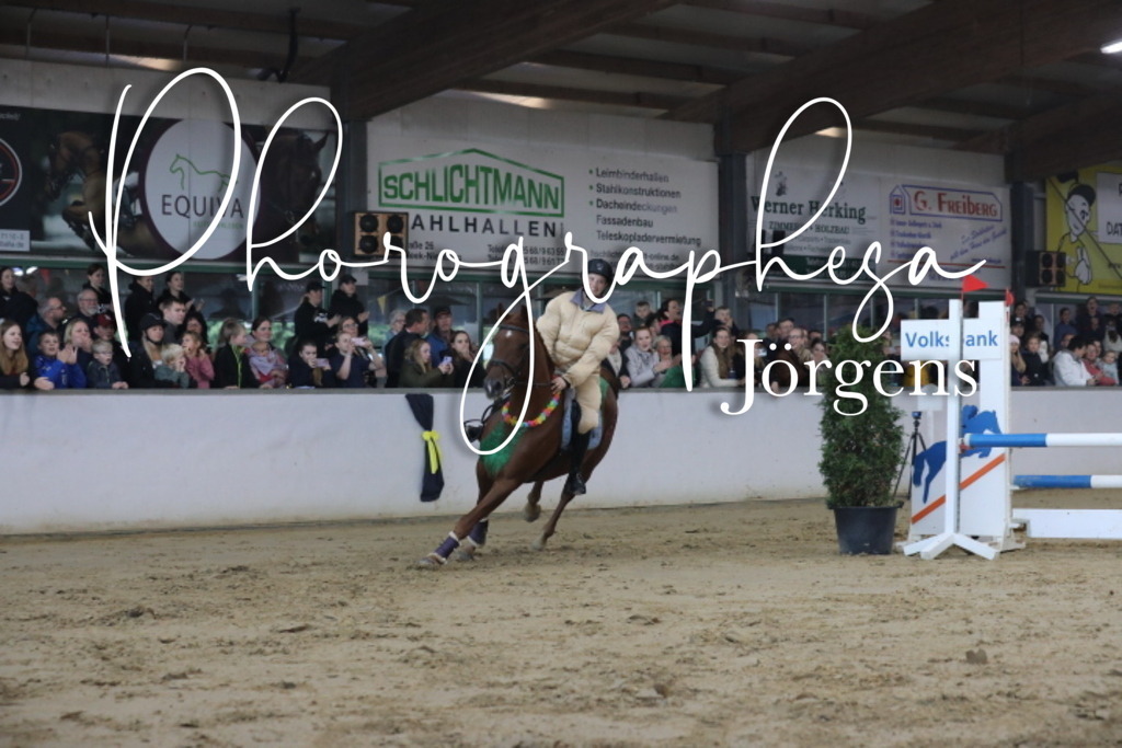 IMG_1906 | photographesa-joergens - Realisiert mit Pictrs.com