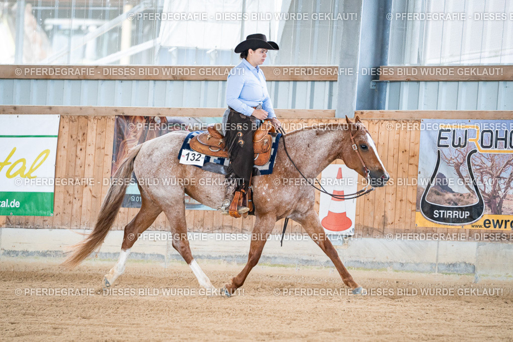 DSC08131 | Pferdegrafie