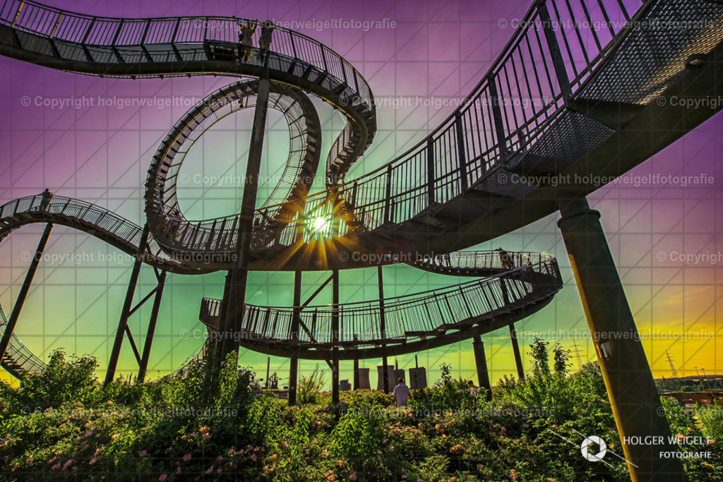 Tiger &amp;.Turtle | Kaufen sie online außergewöhnliche Fotografien auf Leinwand Acrylglas Fotoprint Aludibond von holgerweigeltfotografie - Realisiert mit Pictrs.com