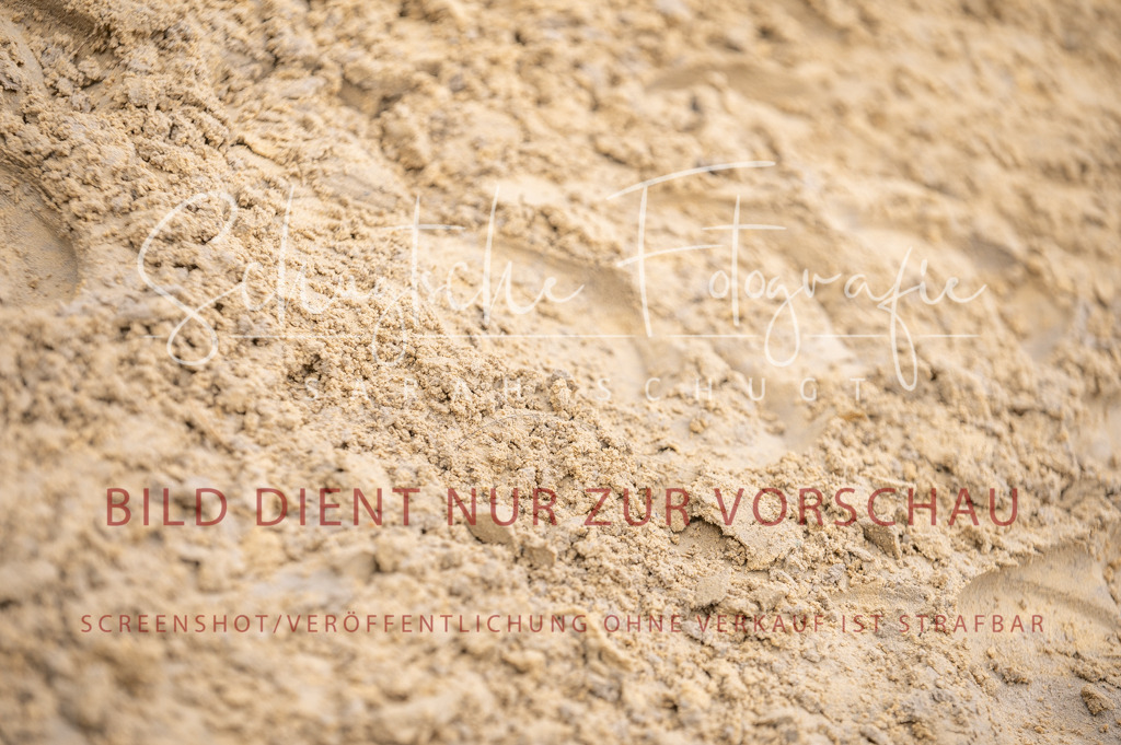 Schugtsche-Aluta25-41.Amat-Dressurprf.A_-269 | Schugtsche Fotografie - Realisiert mit Pictrs.com
