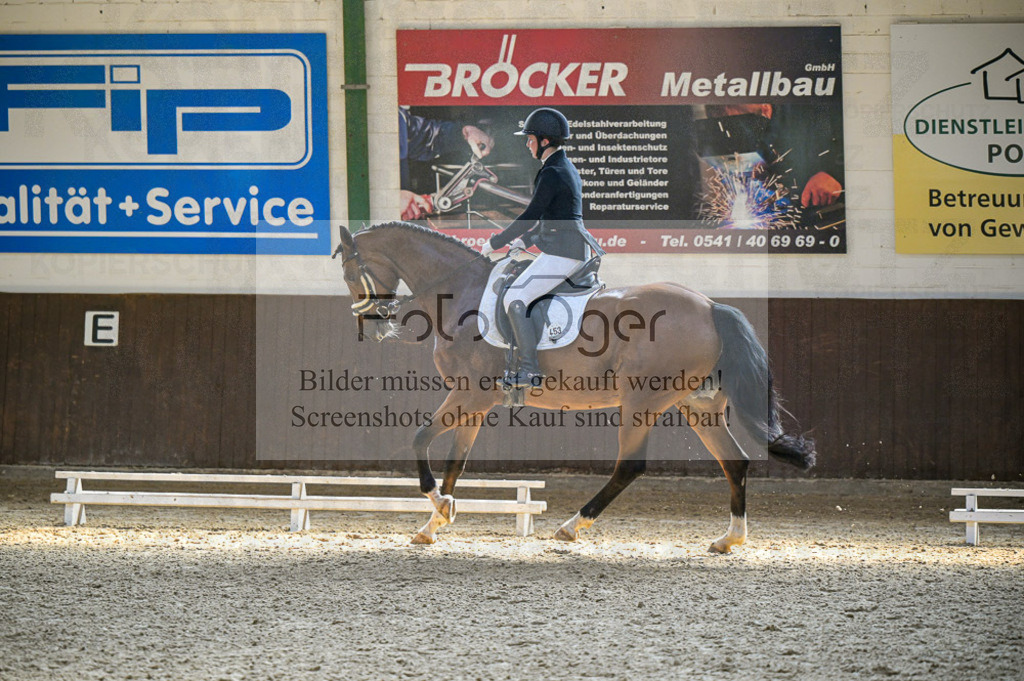 Reitturnier Voxtrup | Entdecke hochwertige Reitturnierfotos von Foto Oger. Professionell, emotional und authentisch – jetzt Lieblingsmomente im Shop bestellen.Deutschlandweite Turnierfotografie. - Realisiert mit Pictrs.com