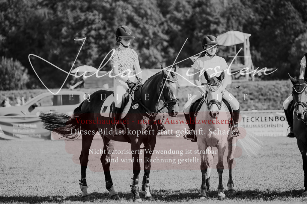 DSC_7096 | Pferde- und Turnierfotografie in Westsachsen. Pferdeportraits, Auftragszeichnungen und intuitive Kunst.