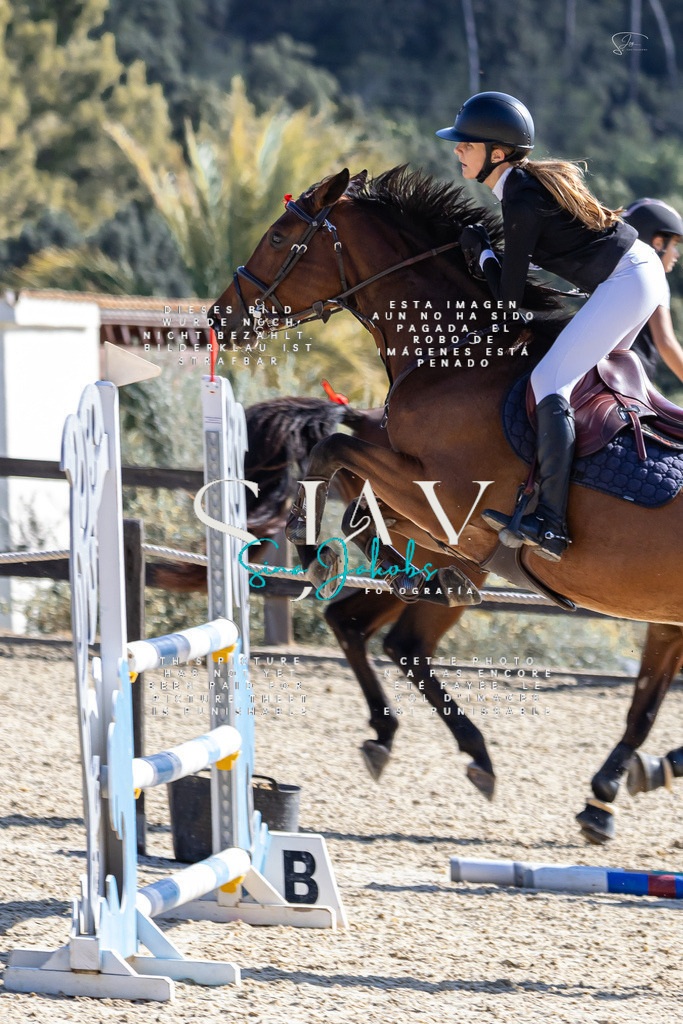 IMG_6433 | s-jay-photography - Realisiert mit Pictrs.com