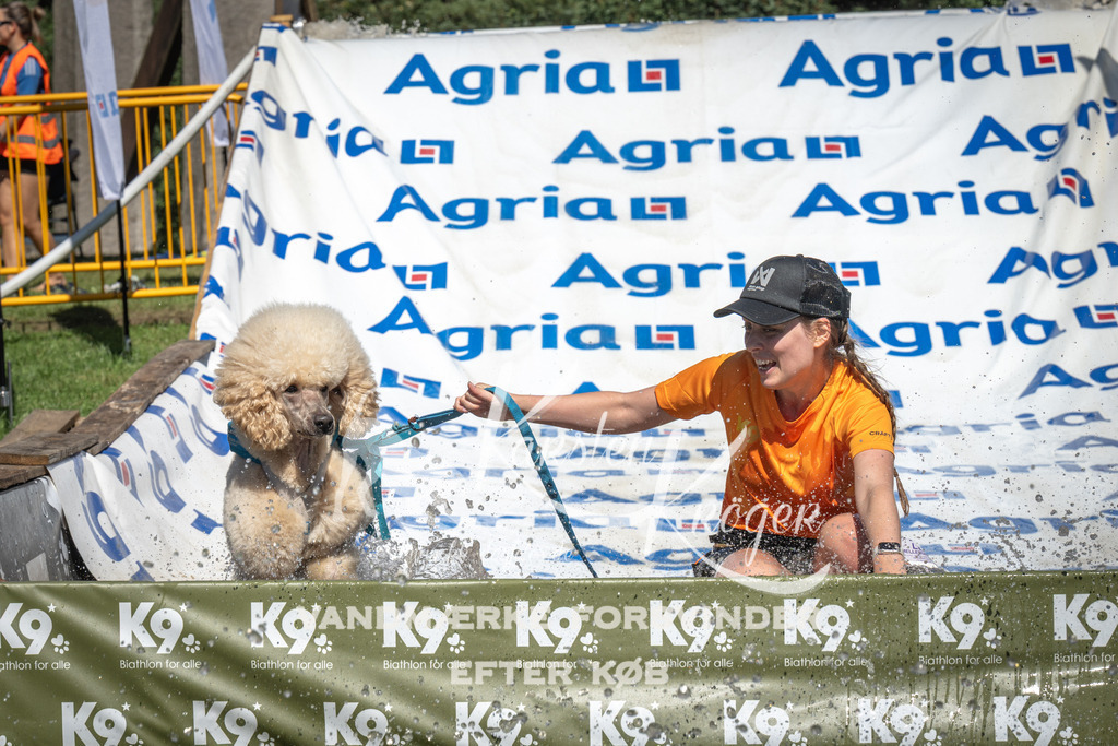 1447_ZZ95928 | kk-dogfotos