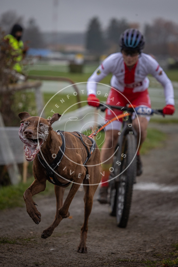 CaniXpix_0L8A1213 | Hundefotografie, Tierfotograf, Pfotenfotografie, Fotoshooting Hund, Hunde Portrait, Hundesport, Hundeportraits, Heideshooting, Hunde, Sportfotograf, Hundefotograf, Turnierhundsport, THS,  - Realisiert mit Pictrs.com