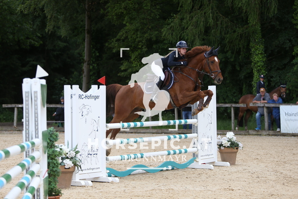 DL2Q1785 | Willkommen bei Brunnmayr - Design & Fotografie – Ihrem Spezialisten für Reitturniere und Pferdeveranstaltungen in Oberösterreich, Salzburg und Bayern! Seit über 17 Jahren sind wir leidenschaftlich dabei.