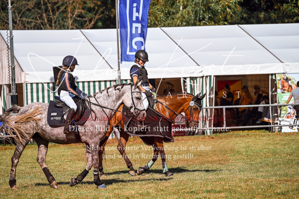 DSC_1203 | Pferde- und Turnierfotografie in Westsachsen. Pferdeportraits, Auftragszeichnungen und intuitive Kunst.