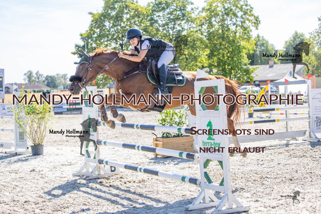 26-7-24 Amateur L-234 | mandyhollmannphotographie