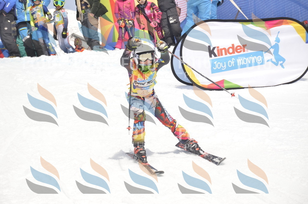 _ELE8783 | holidayphoto