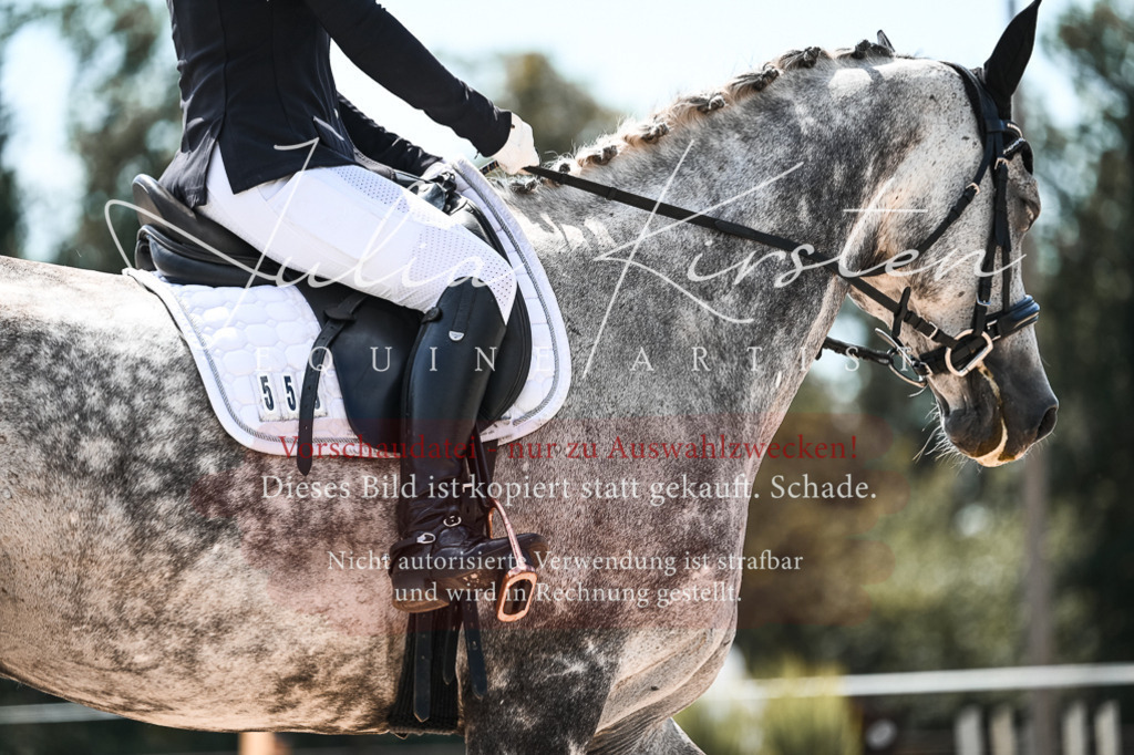 DSC_5603 | Pferde- und Turnierfotografie in Westsachsen. Pferdeportraits, Auftragszeichnungen und intuitive Kunst.
