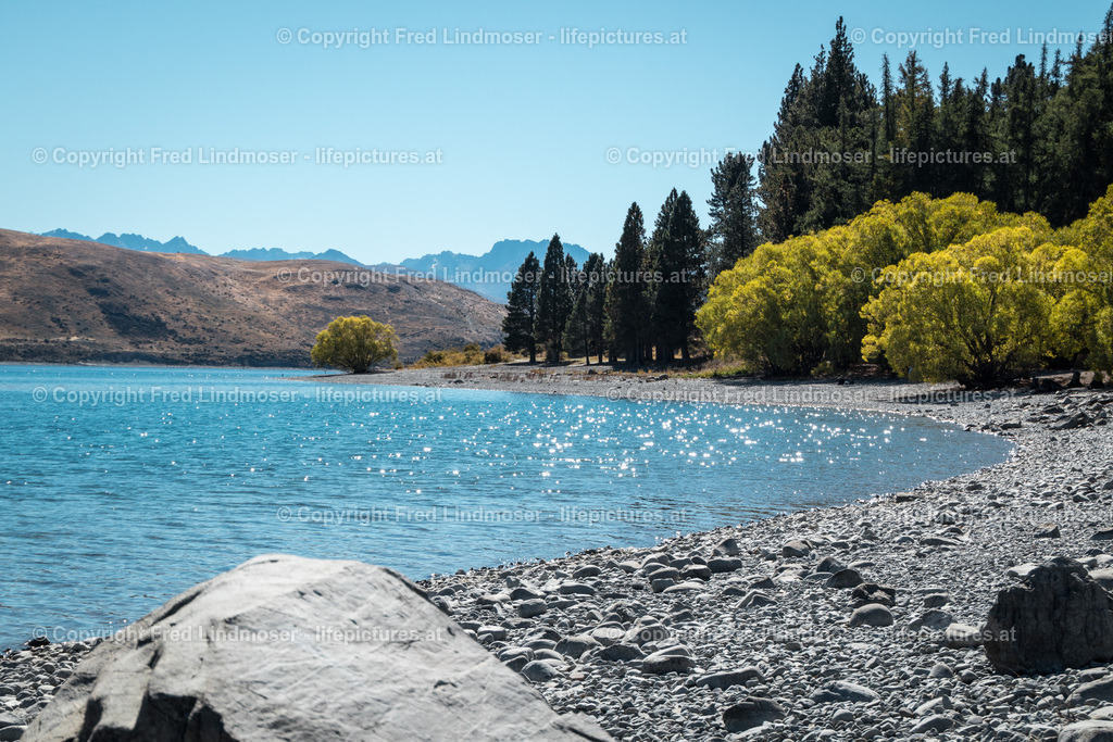 Neuseeland-0961 | Fotos und Fotoprodukte - Realisiert mit Pictrs.com