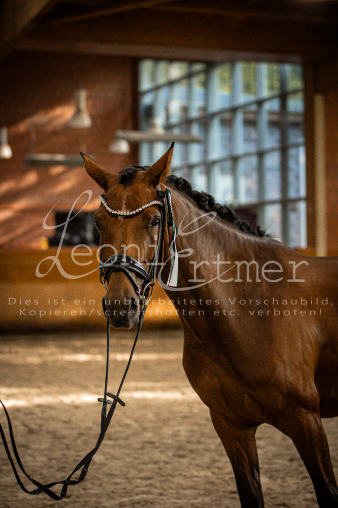 2Schritt00077 | Leoni Ertmer Photography - Realisiert mit Pictrs.com