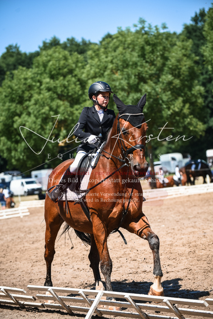 DSC_3026 | Pferde- und Turnierfotografie in Westsachsen. Pferdeportraits, Auftragszeichnungen und intuitive Kunst.