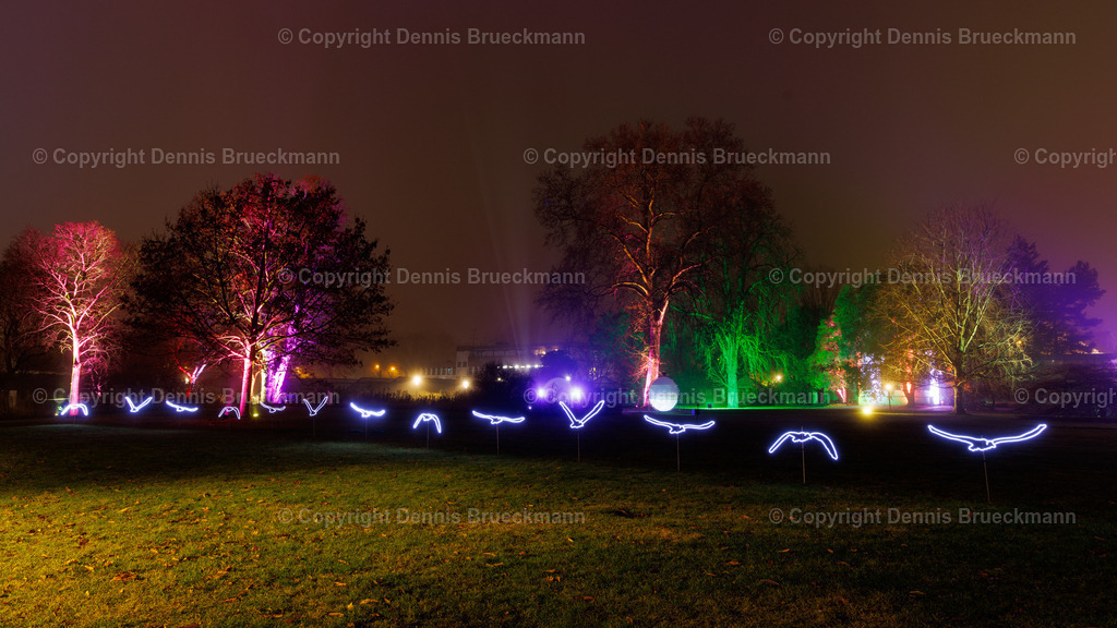 Winterlichter 2023/24 | Dennis-Brueckmann-Fotografie - Realisiert mit Pictrs.com