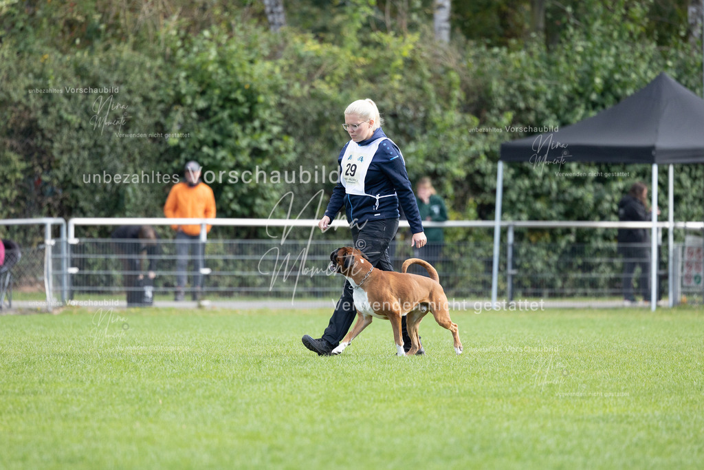 _16A5661 | Einzigartige Fotos von Hunden & Menschen –Actionfotos, Portraits, Vereinsaufnahmen & Paarshootings – authentisch, lebendig & mit Herz.