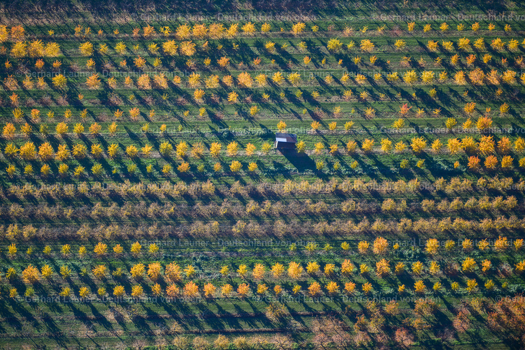 3503653 | herbstliche Baumstrukturen bei Sommerhausen
