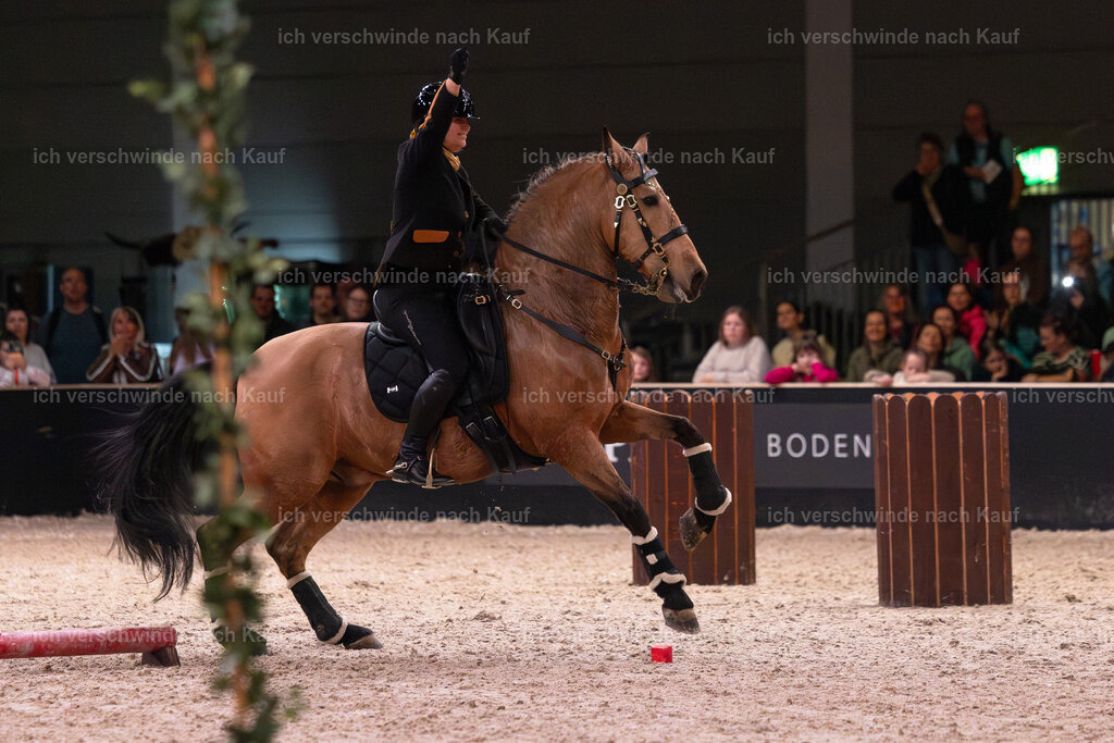 JoseraCup-217 | working equitationturnier fotograf videograf stoibphotography marixx film working equitation deutschland reitsport turnierfotografie eventfotografie equestrian events