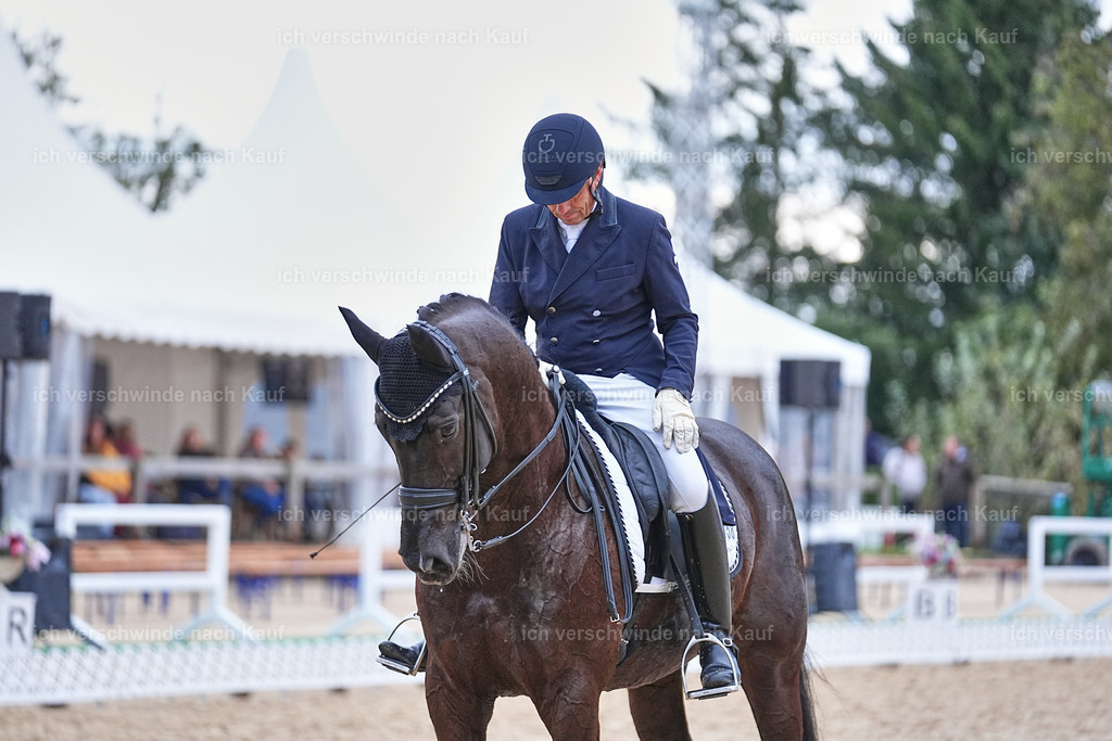 12-085-DRESSUR  S___  -Marixx-5253 | working equitationturnier fotograf videograf stoibphotography marixx film working equitation deutschland reitsport turnierfotografie eventfotografie equestrian events