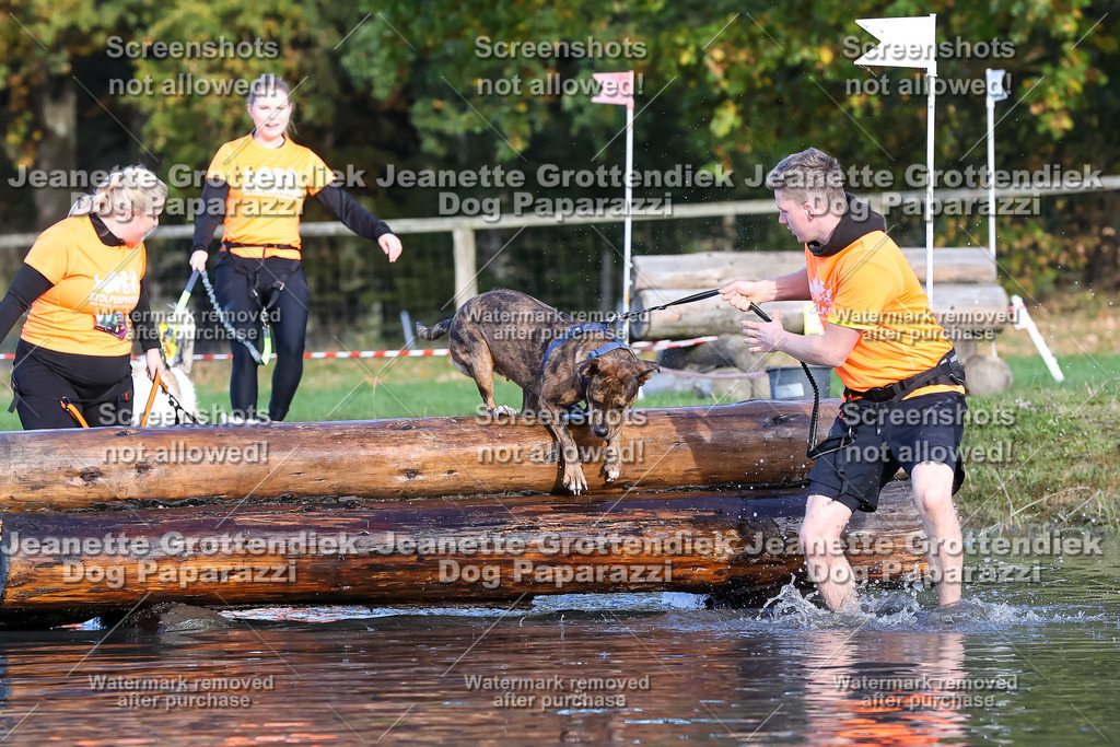 Dog Paparazzi - Strongdog 10-25-8561 | Dog Paparazzi Jeanette Grottendiek Fotografie & Videografie - Realisiert mit Pictrs.com