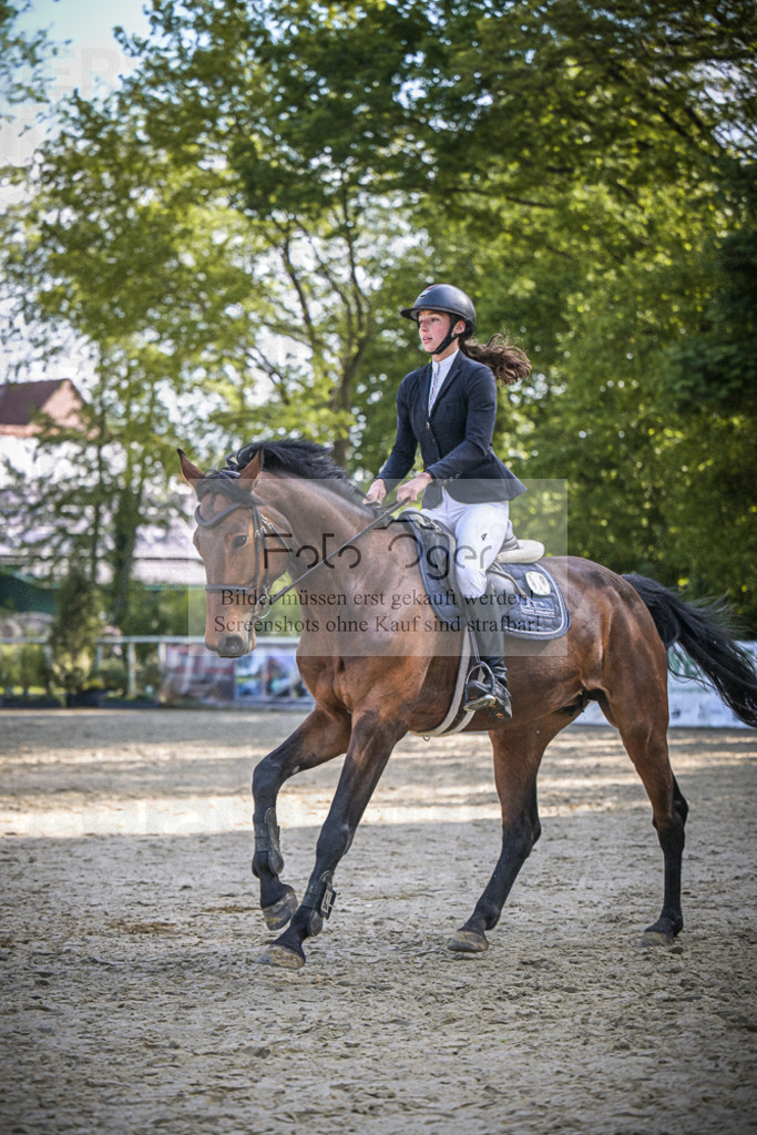 DOS_5572 | Entdecke hochwertige Reitturnierfotos von Foto Oger. Professionell, emotional und authentisch – jetzt Lieblingsmomente im Shop bestellen.Deutschlandweite Turnierfotografie. - Realisiert mit Pictrs.com