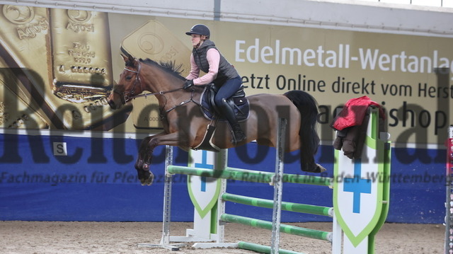 Springlehrgang_Lars Meyer zu bexten_Pforzheim_Gruppe 03 (23) | Alle Fotos der Reiterjournal Fotografin Doris Matthaes im Reiterjournal Online-Fotoshop. - Realisiert mit Pictrs.com
