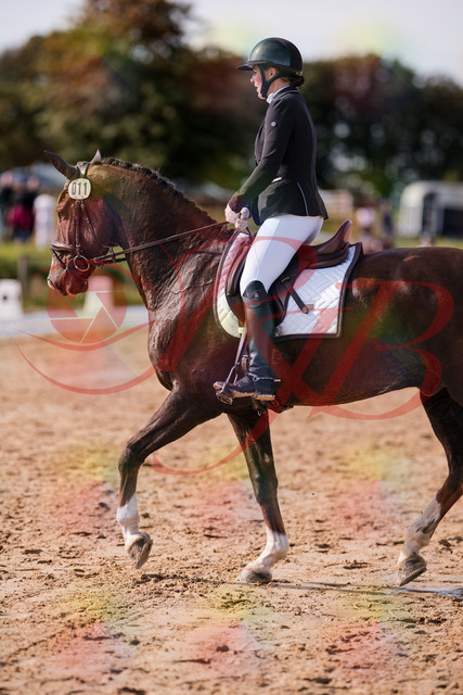 2026_10_03_Siefer-Hof_132230_Z81_71739314 | Professionelle Reitsport-, Turnier- und Eventfotografie von Robert Broda. Galerien mit ausgewählten und bearbeiteten Bildern direkt online ansehen und bestellen.