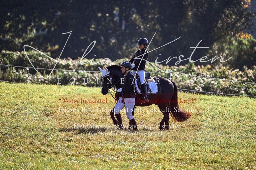 DSC_0374 | Pferde- und Turnierfotografie in Westsachsen. Pferdeportraits, Auftragszeichnungen und intuitive Kunst.