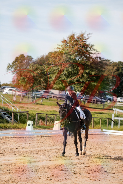 2026_10_03_Siefer-Hof_115825_Z63_31445400 | Professionelle Reitsport-, Turnier- und Eventfotografie von Robert Broda. Galerien mit ausgewählten und bearbeiteten Bildern direkt online ansehen und bestellen.