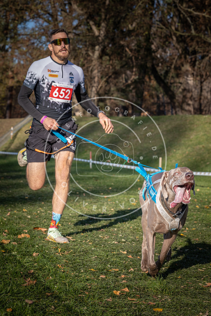 CaniXpix_0L8A9119 | Hundefotografie, Tierfotograf, Pfotenfotografie, Fotoshooting Hund, Hunde Portrait, Hundesport, Hundeportraits, Heideshooting, Hunde, Sportfotograf, Hundefotograf, Turnierhundsport, THS,  - Realisiert mit Pictrs.com