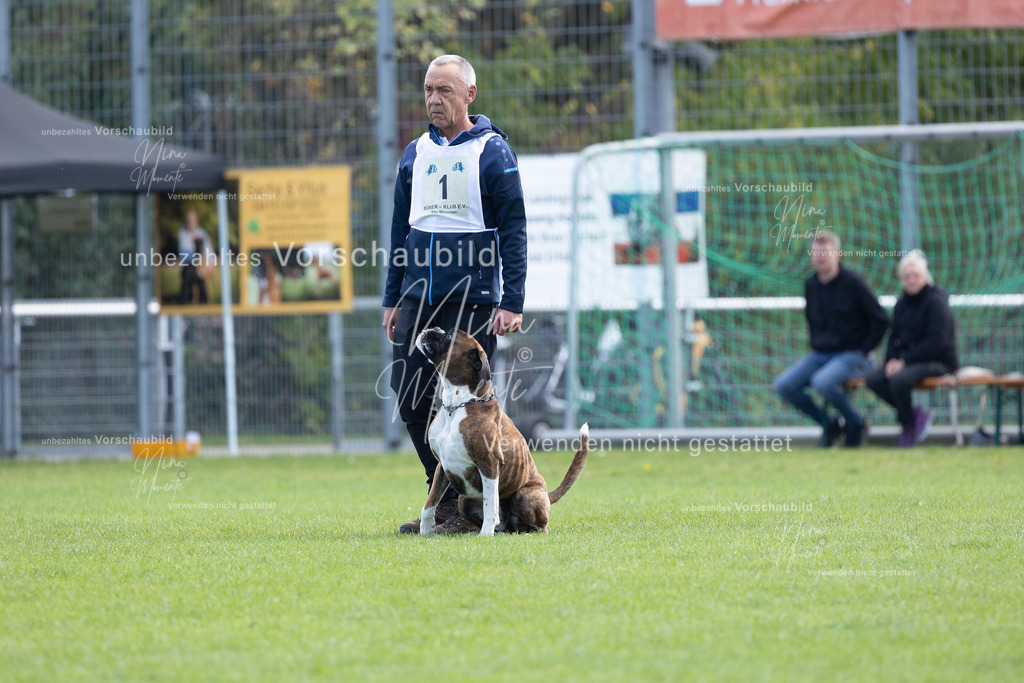 _16A5328 | Einzigartige Fotos von Hunden & Menschen –Actionfotos, Portraits, Vereinsaufnahmen & Paarshootings – authentisch, lebendig & mit Herz.