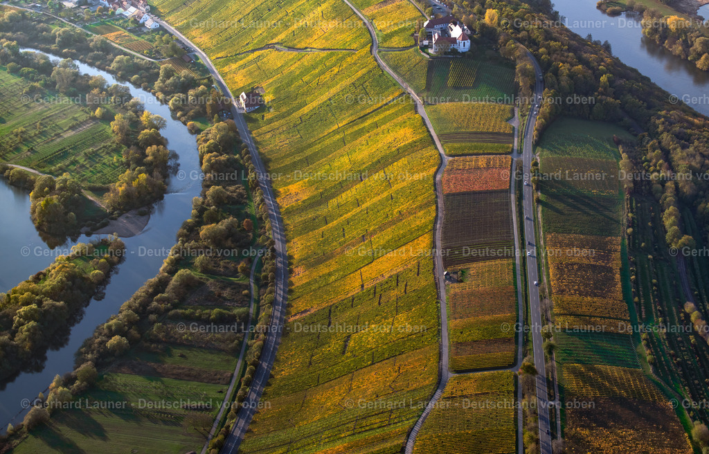 3905373 | Weinbergslandschaft an der Mainschleife bei Escherndorf und Nordheim
