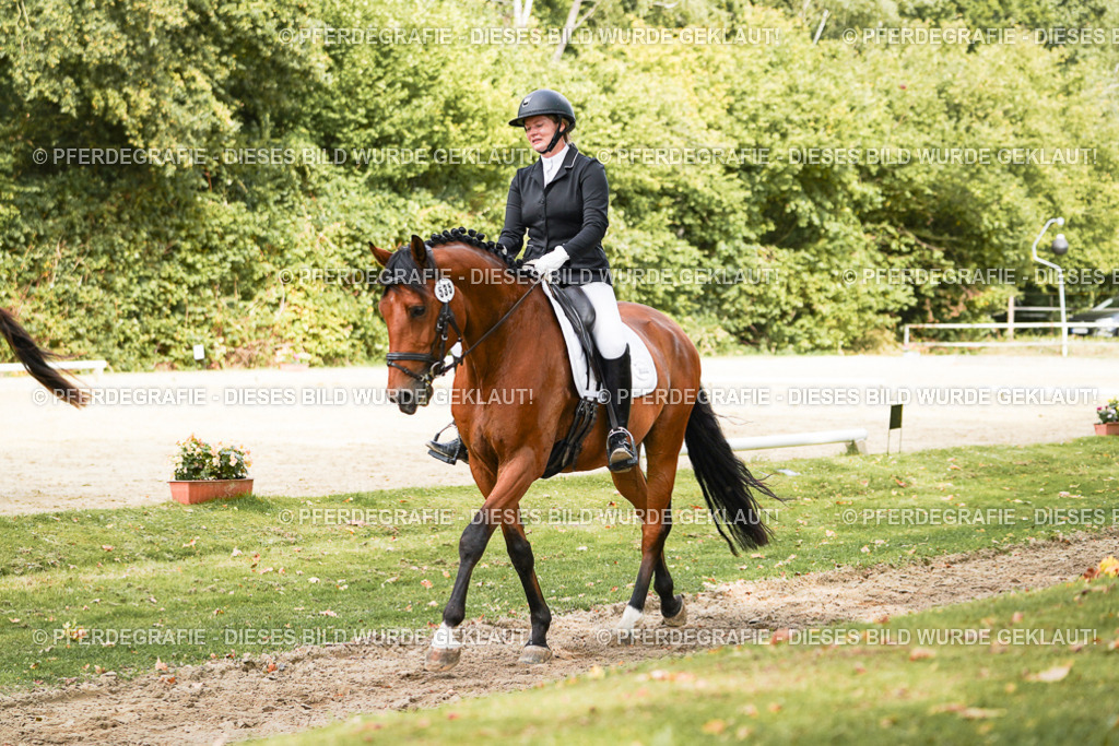 DSC02129 | Pferdegrafie