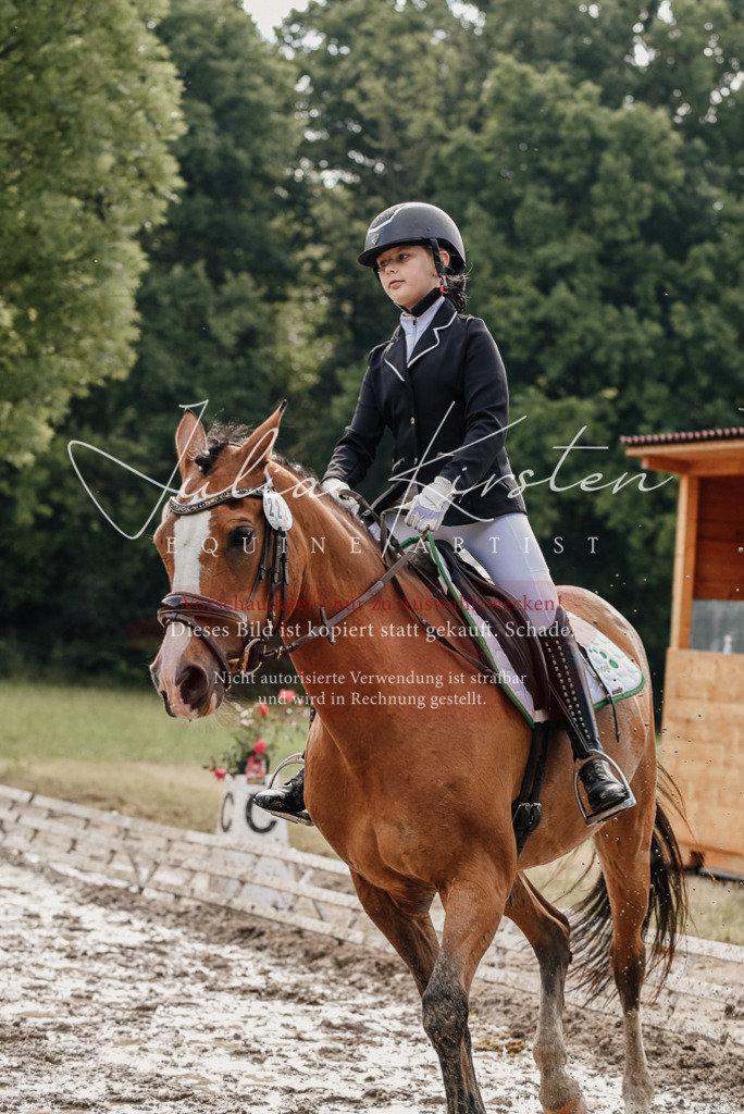 DSC_9127 | Pferde- und Turnierfotografie in Westsachsen. Pferdeportraits, Auftragszeichnungen und intuitive Kunst.
