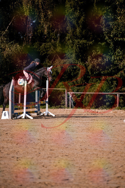 2026_10_03_Siefer-Hof_153615_Z81_48896966 | Professionelle Reitsport-, Turnier- und Eventfotografie von Robert Broda. Galerien mit ausgewählten und bearbeiteten Bildern direkt online ansehen und bestellen.