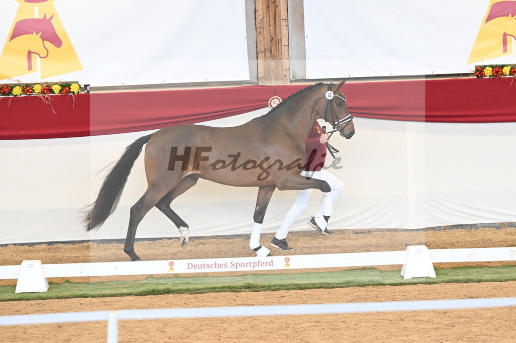 Kat.-Nr. 72 v. Red Viper_Reesink_3260908 | hf-fotografie - Realizzato con Pictrs.com