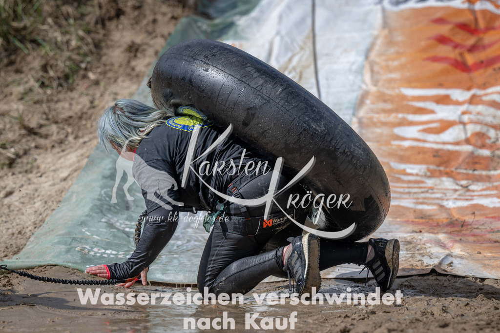 1121_ZZ93243 | kk-dogfotos