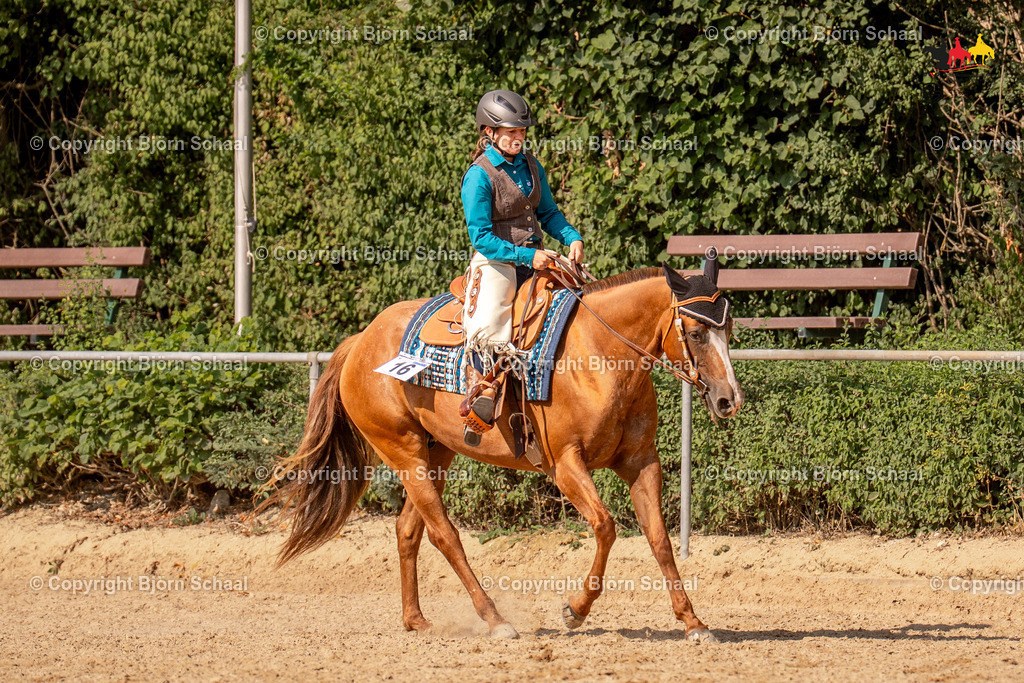 LMS08305 | BS-foto