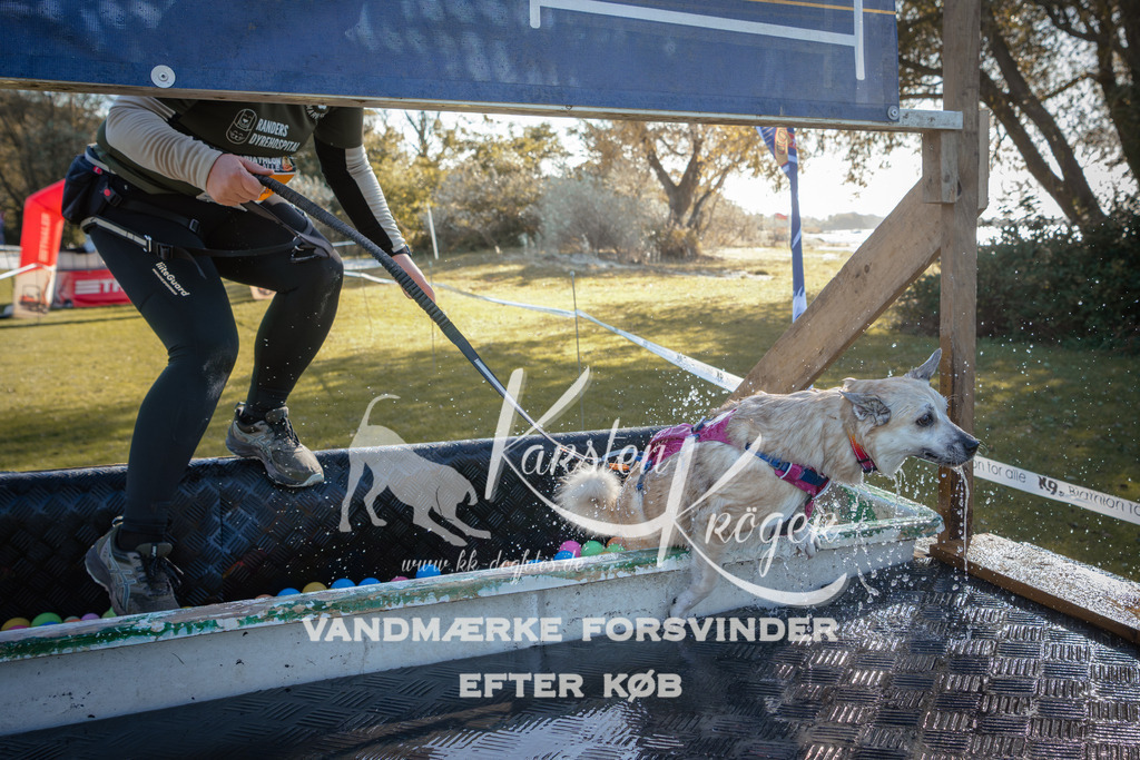 1212_ZZ95087 | kk-dogfotos