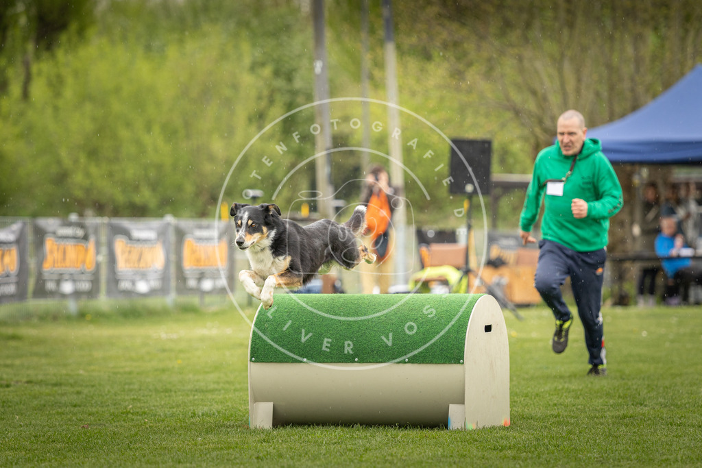 Pfotenfotografie_DV3A3553 | Hundefotografie, Tierfotograf, Pfotenfotografie, Fotoshooting Hund, Hunde Portrait, Hundesport, Hundeportraits, Heideshooting, Hunde, Sportfotograf, Hundefotograf, Turnierhundsport, THS,  - Realisiert mit Pictrs.com