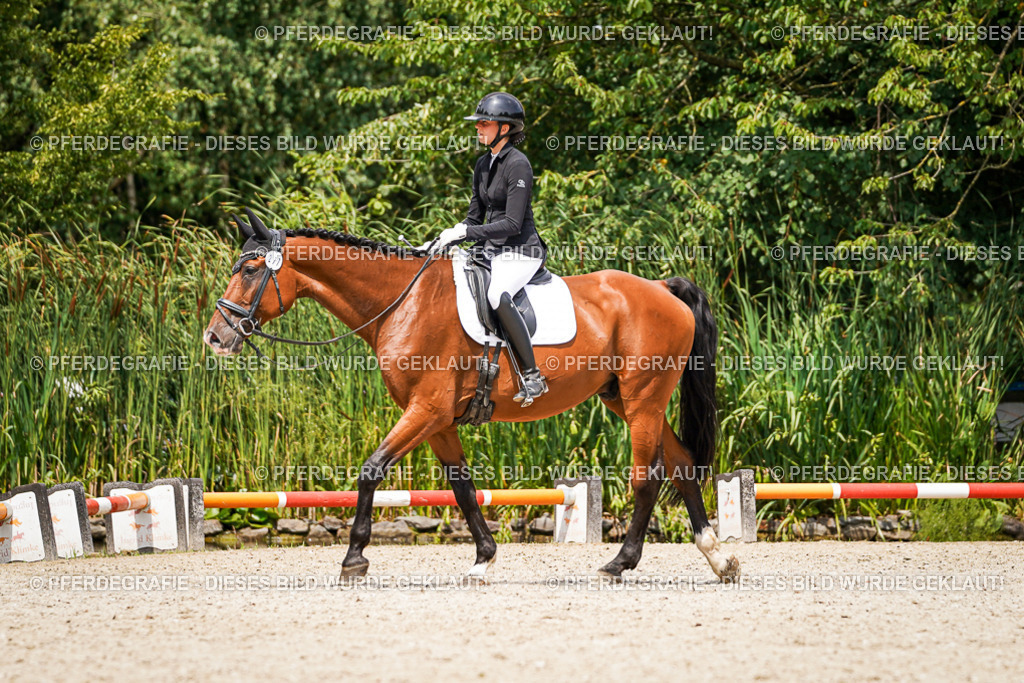 DSC03736 | Pferdegrafie