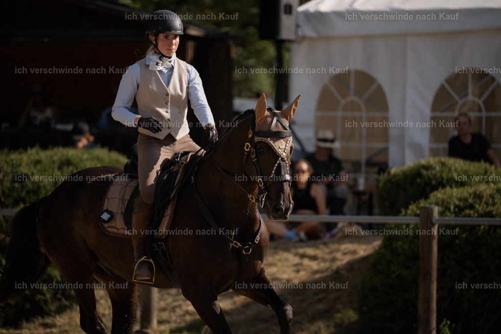 WS_SP_19_Stoibphotography_SO11811 | working equitationturnier fotograf videograf stoibphotography marixx film working equitation deutschland reitsport turnierfotografie eventfotografie equestrian events