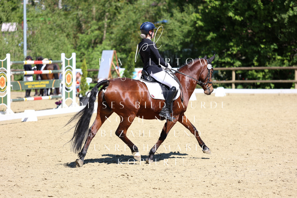 IMGS1244 | pl-fotografie