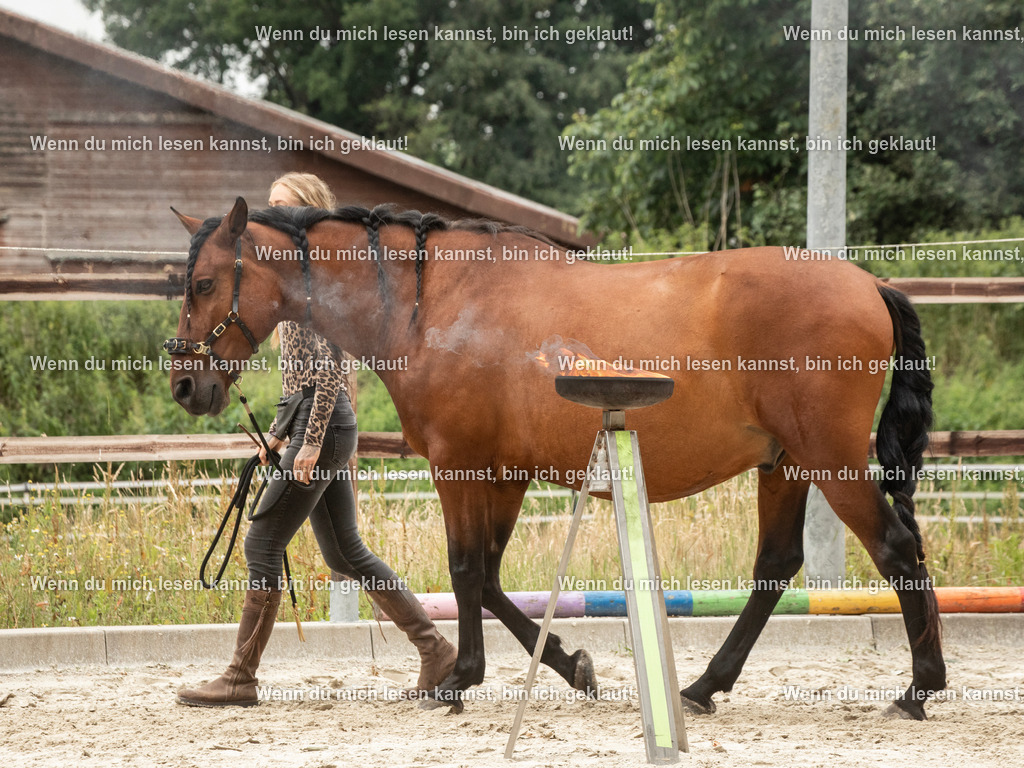 598A6490 | photographylinaismer - Realisiert mit Pictrs.com