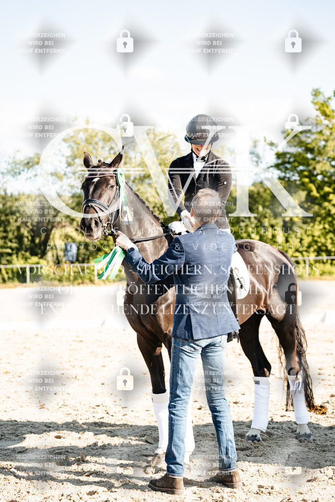 CK703591 | Turnierfotografie Pferdefotografie Trier Rheinland-Pfalz Pferdesport Reitsport Tierfotografie Sportfotografie Pferdevideo Pferdevideografie Equestrianvideography equestrianphotography  - Realisiert mit Pictrs.com