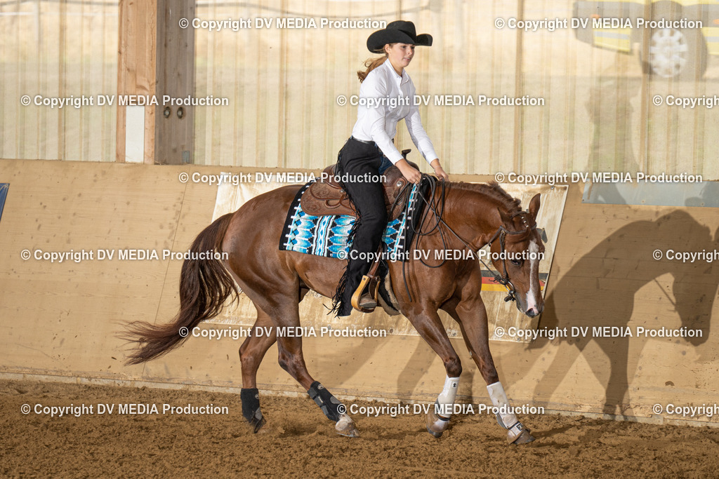 LAU01407 | dv-media-shop - Realisiert mit Pictrs.com