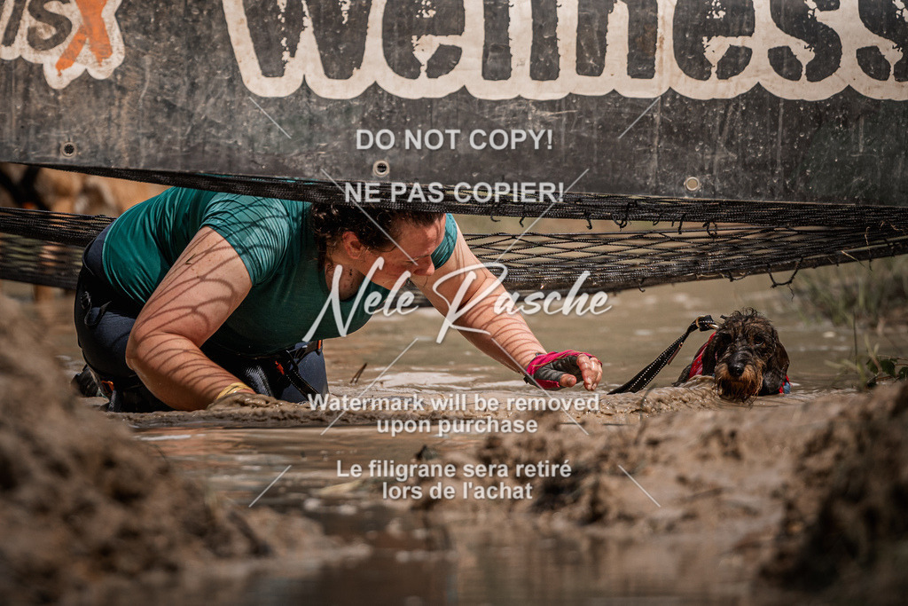 nelerasche_Hoope2026_Sa1100-1130_398 | nelerasche