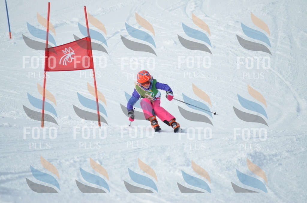 D8670 | holidayphoto