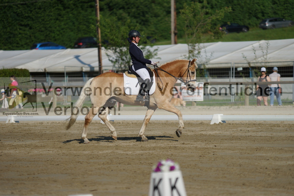 DSC04130 | equestrian-live-com