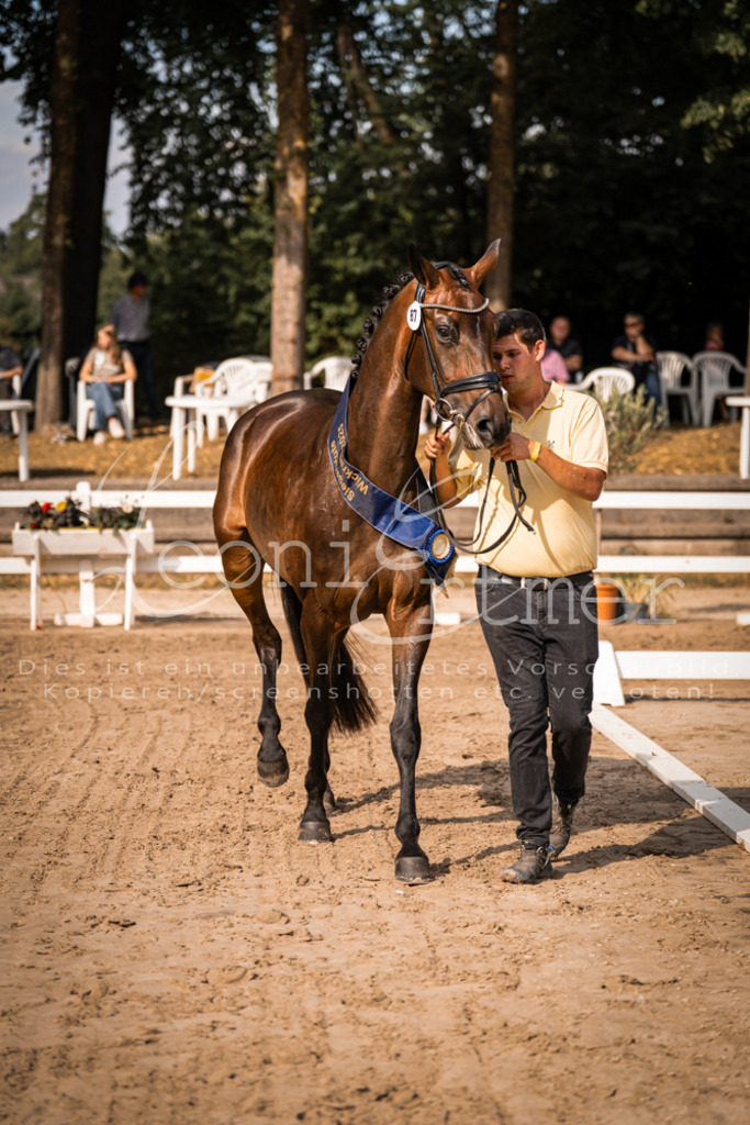 FrER00204 | Leoni Ertmer Photography - Realisiert mit Pictrs.com